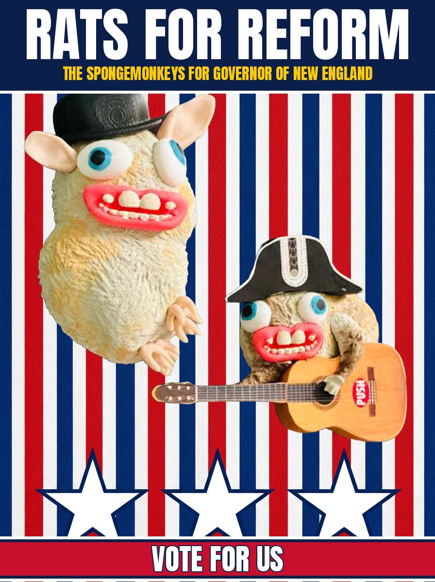 The Spongemonkeys
