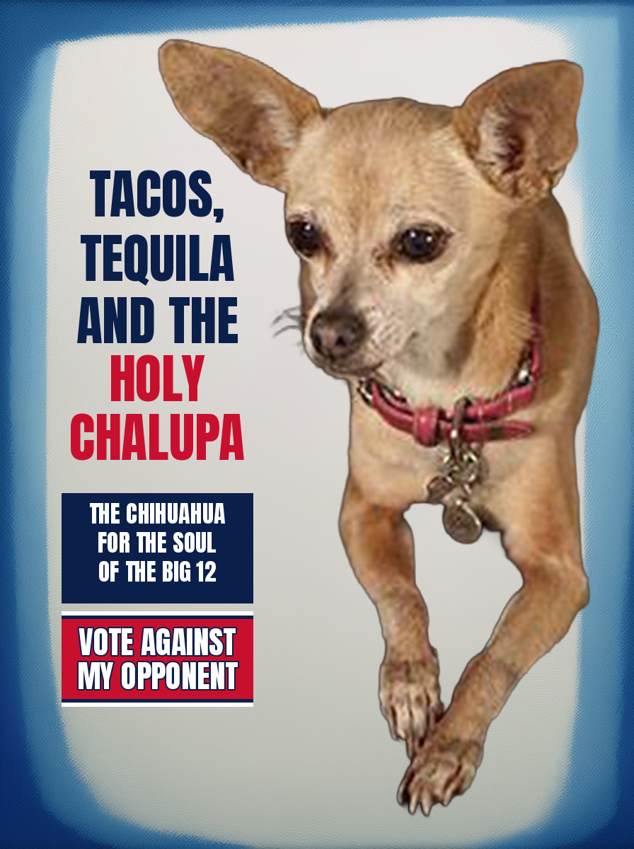 Taco Bell Chihuahua