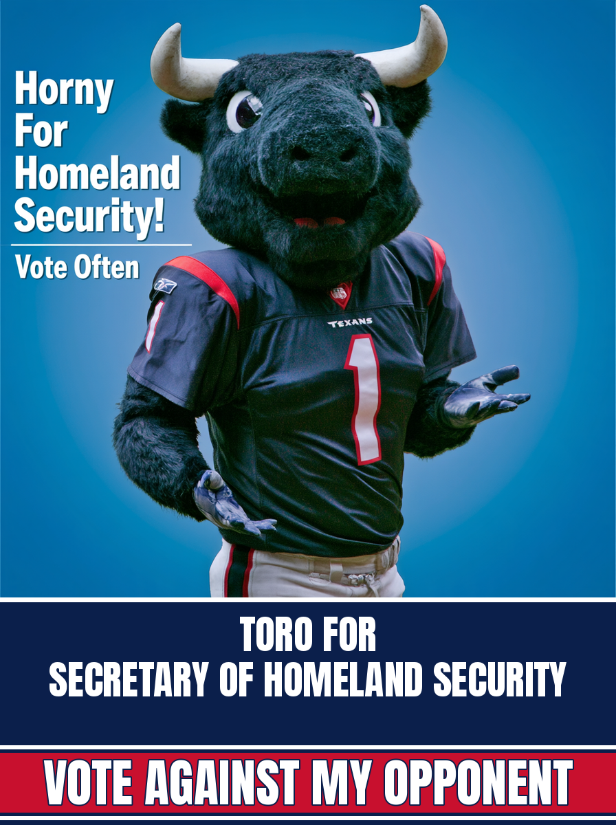 Toro, Houston Texans